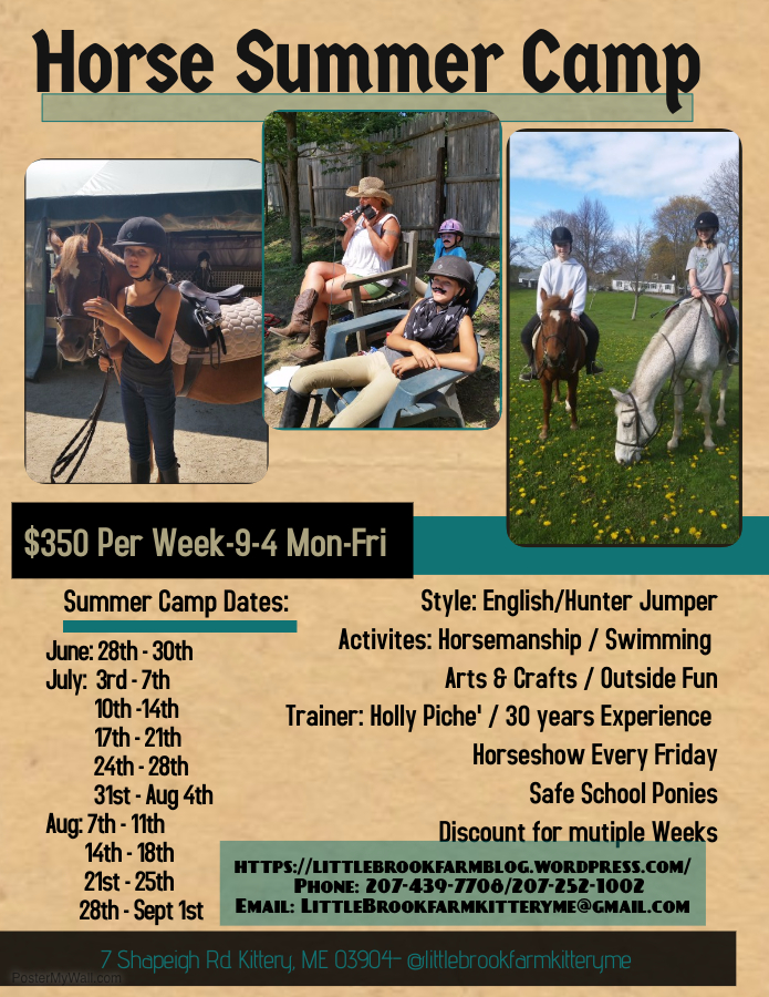 LBF Summer Camp Flyer 1#